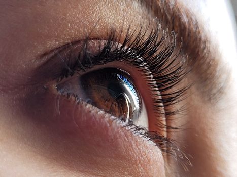 Eyelash Tinting